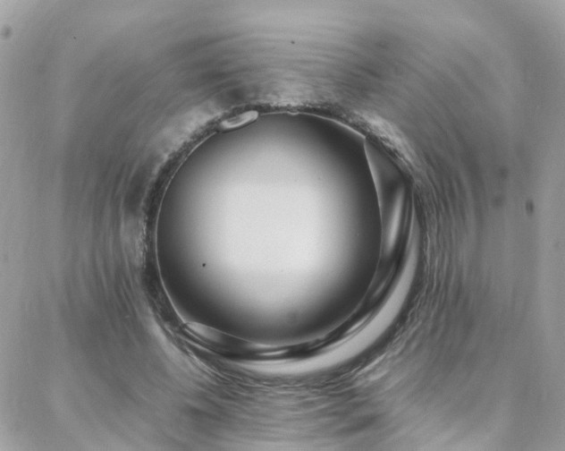 X0000088360540200705221033