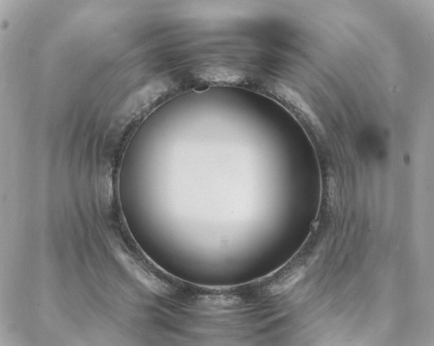 X0000088360541200705221033