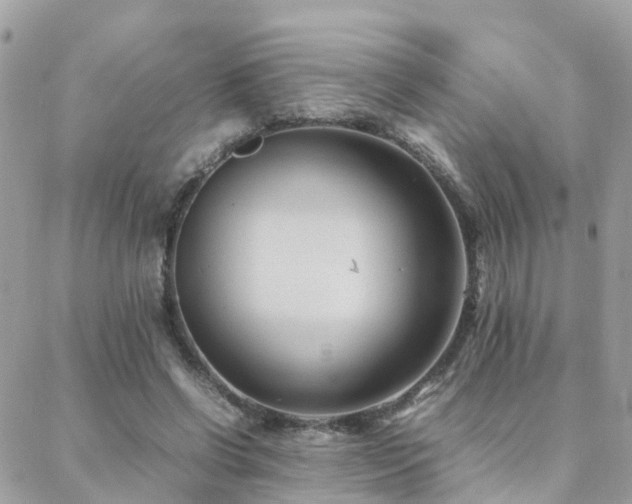 X0000088360542200705221033