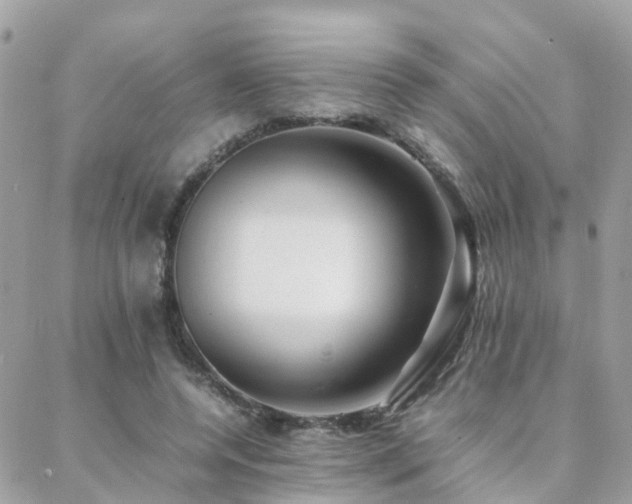 X0000088360544200705221033