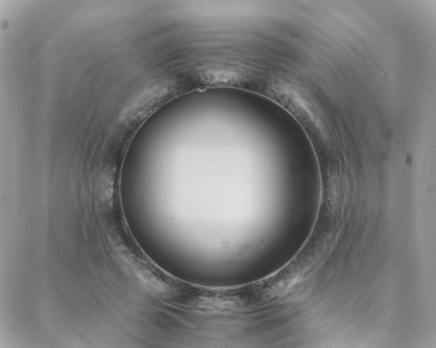 X0000088360545200705221033