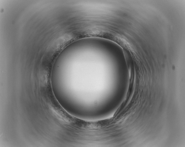 X0000088360546200705221033