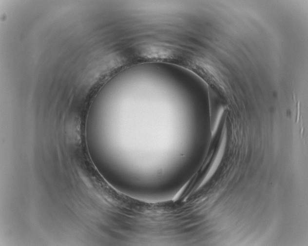 X0000088360547200705221033