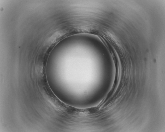 X0000088360548200705221033