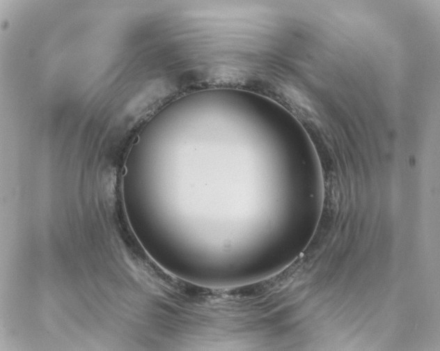 X0000088360550200705221034