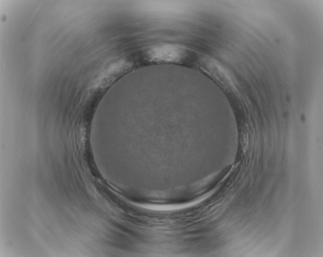 X0000088360551200705221034