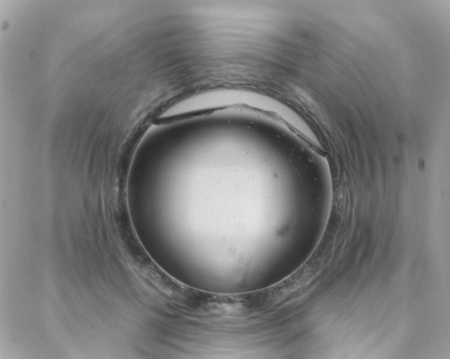 X0000088360552200705221034