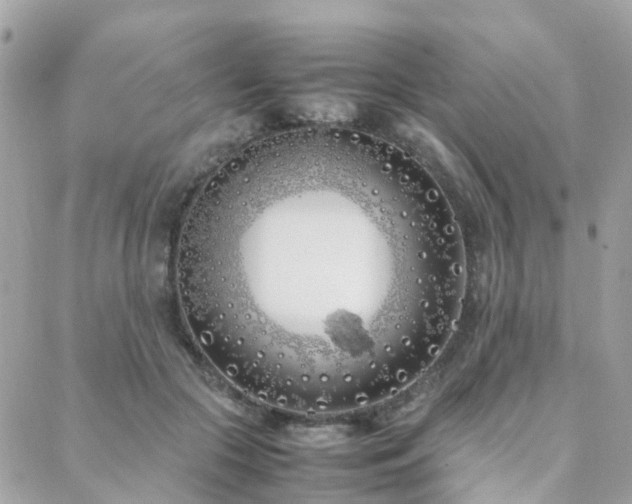 X0000088360553200705221034