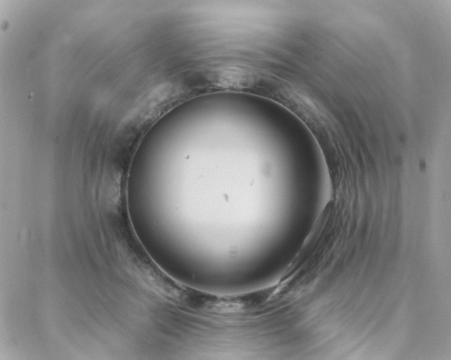 X0000088360554200705221034