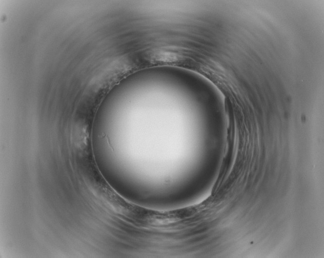 X0000088360555200705221034