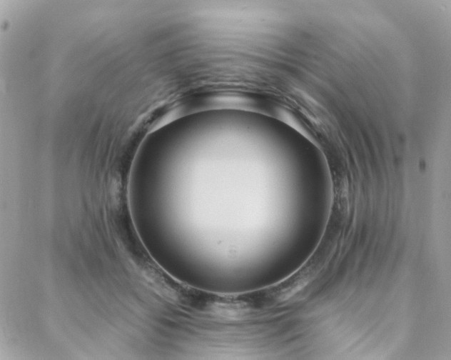 X0000088360556200705221034