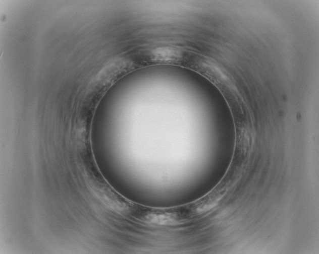 X0000088360557200705221034