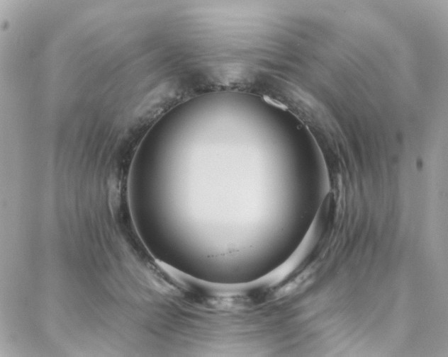 X0000088360558200705221034