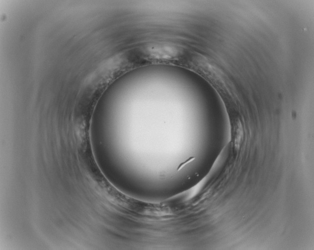 X0000088360559200705221034