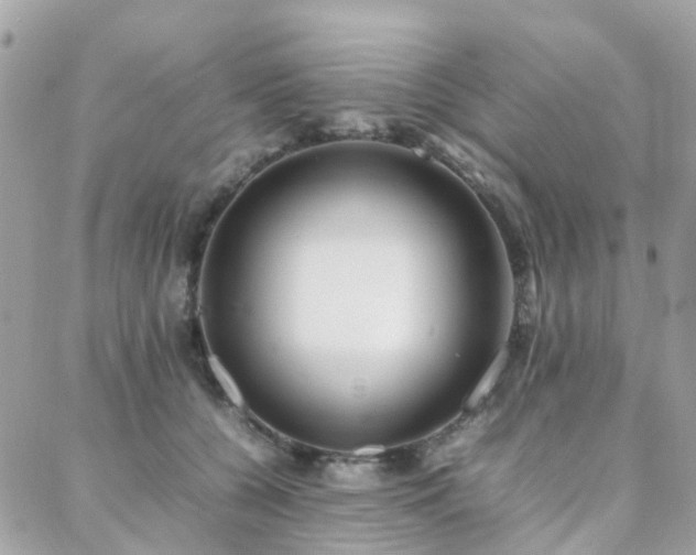 X0000088360560200705221034