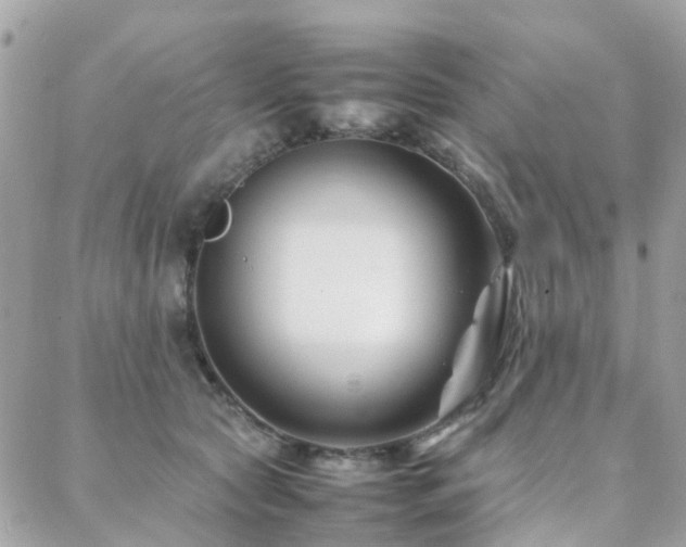 X0000088360561200705221034