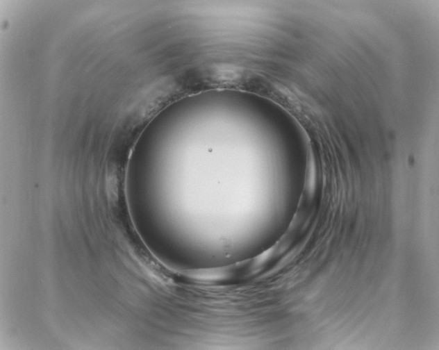 X0000088360562200705221034