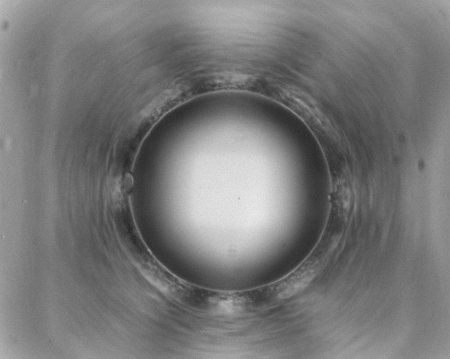 X0000088360564200705221034