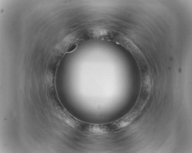 X0000088360565200705221034