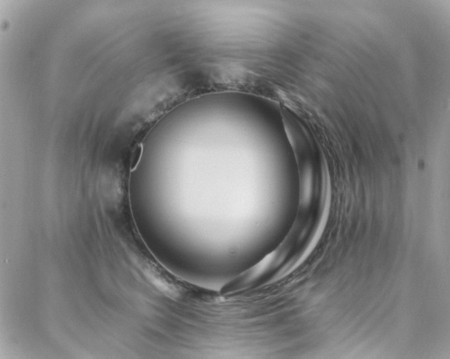 X0000088360566200705221034