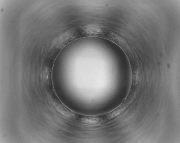 X0000088360567200705221034