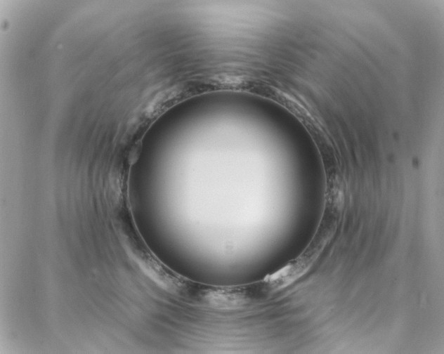 X0000088360568200705221034