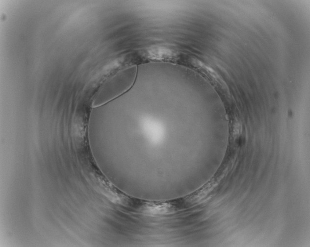 X0000088360569200705221034