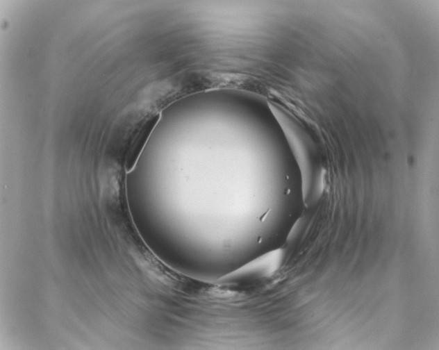 X0000088360570200705221034