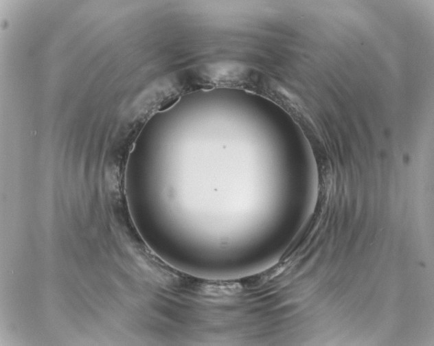 X0000088360571200705221034