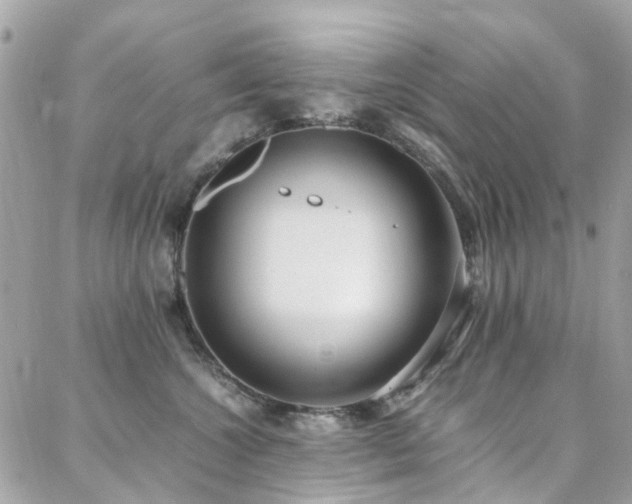 X0000088360572200705221034