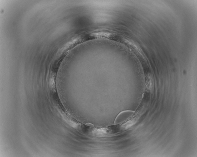 X0000088360573200705221034