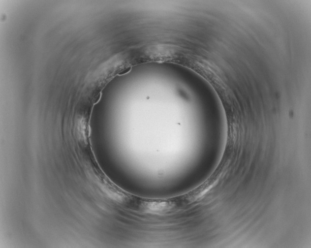 X0000088360575200705221034