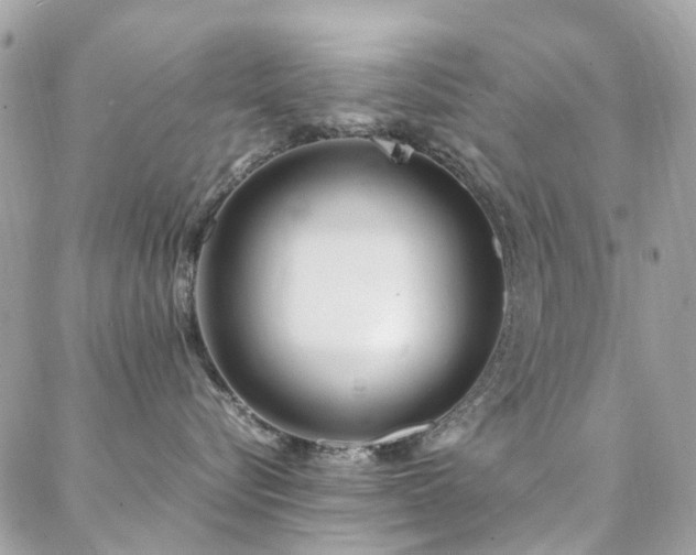 X0000088360576200705221034