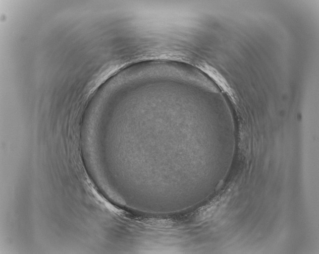 X0000088360577200705221033