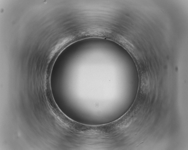 X0000088360578200705221033