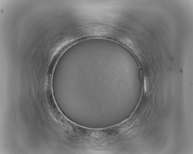 X0000088360579200705221033