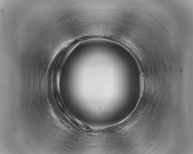 X0000088360580200705221033