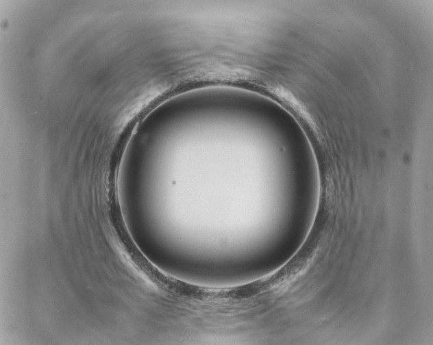 X0000088360581200705221033