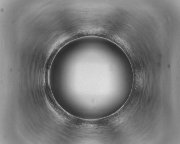 X0000088360582200705221033