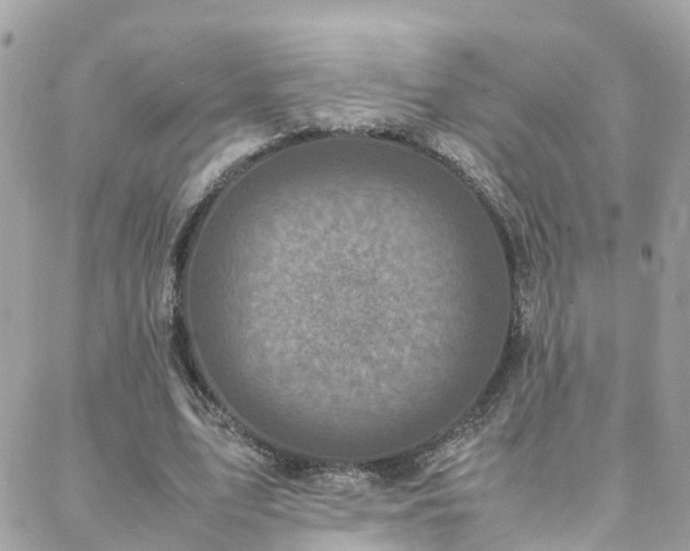 X0000088360583200705221033