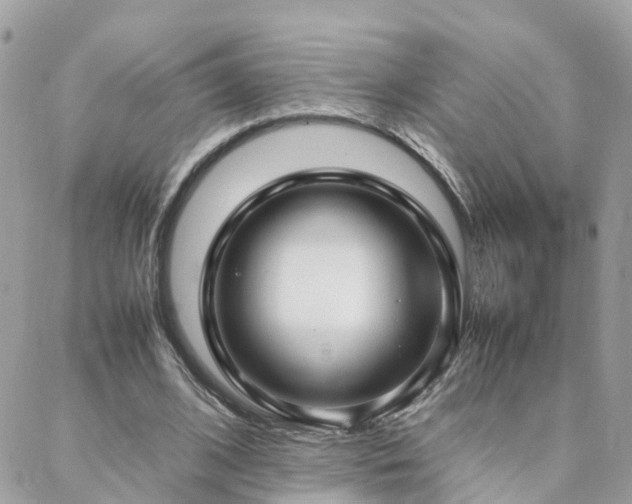 X0000088360584200705221033