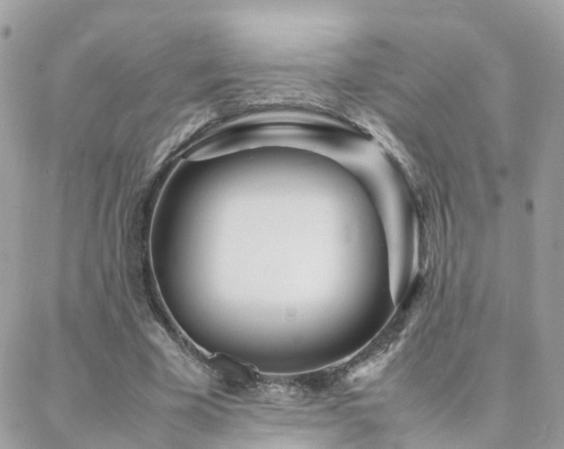 X0000088360585200705221033