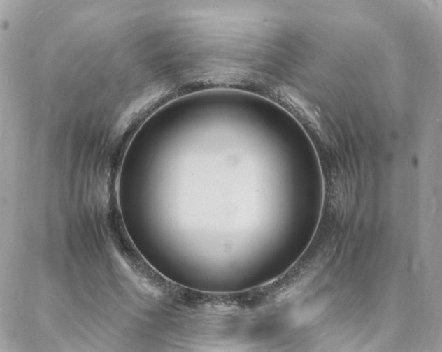 X0000088360586200705221033