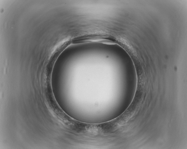 X0000088360587200705221033