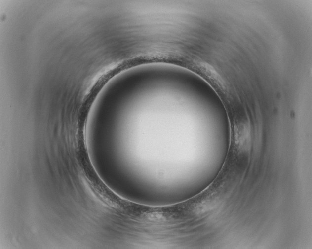 X0000088360588200705221033