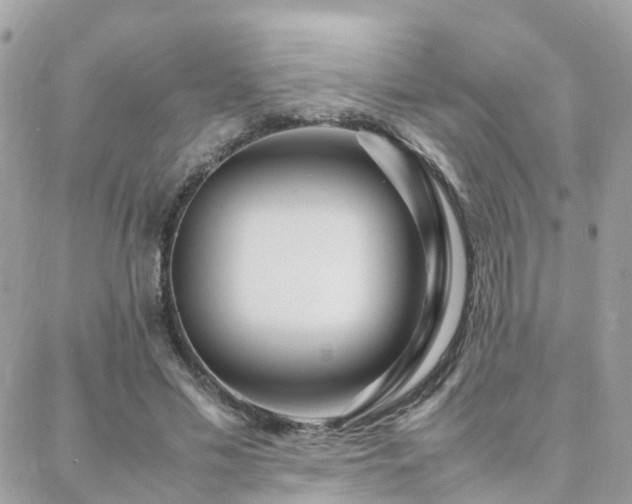 X0000088360589200705221033