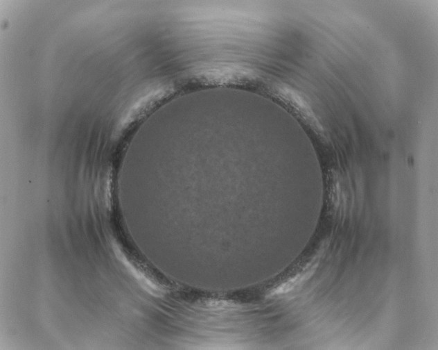 X0000088360590200705221033