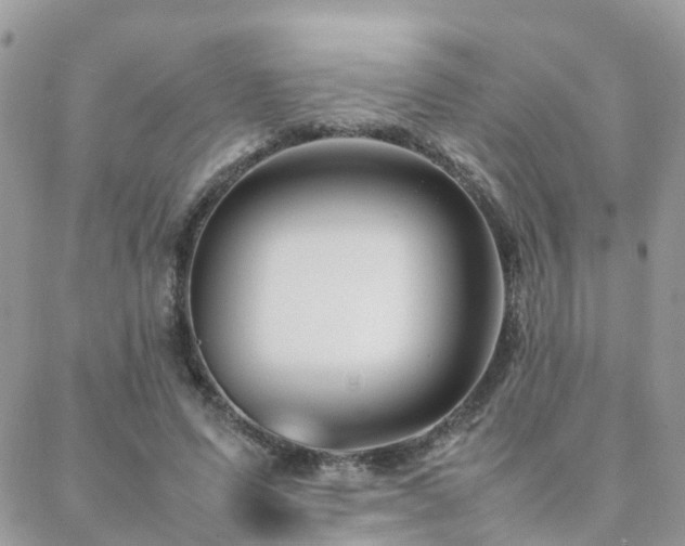 X0000088360591200705221033