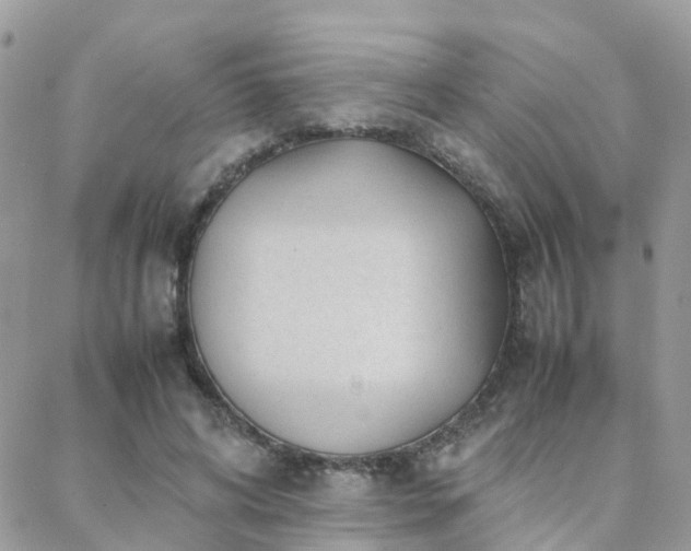 X0000088360592200705221033