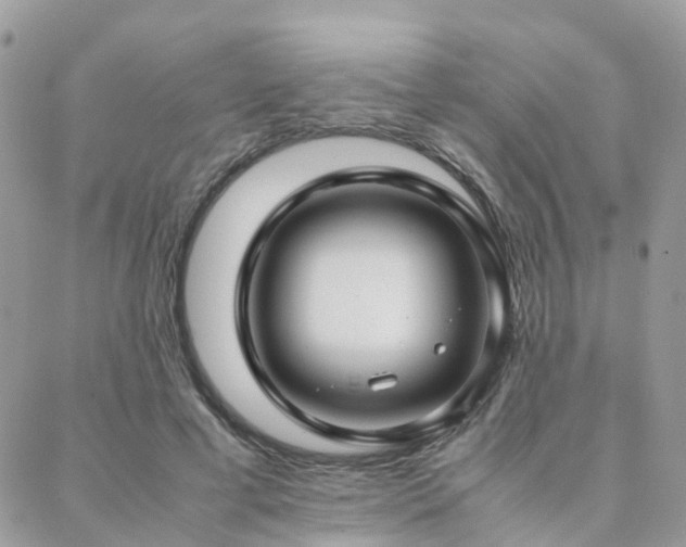 X0000088360593200705221033